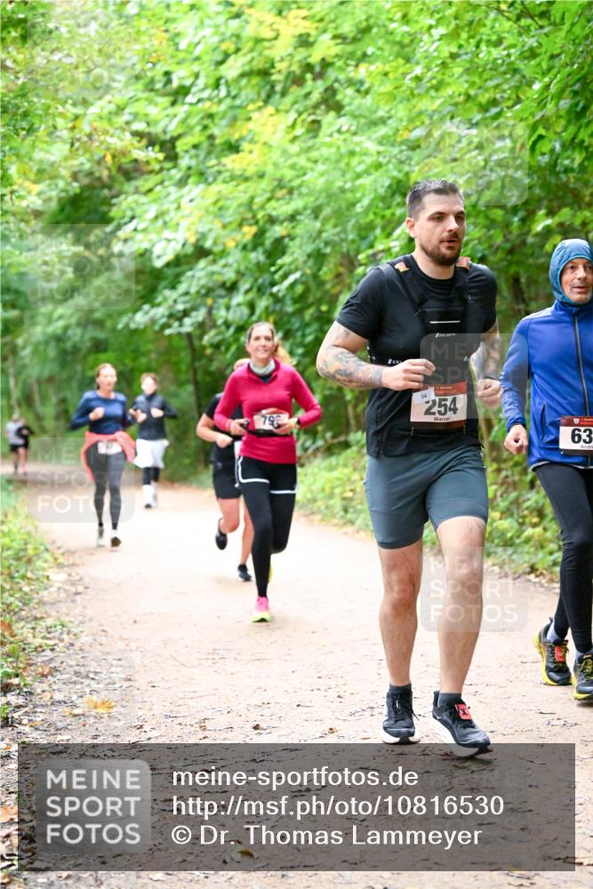 11.10.2026 - Bramfelder Halbmarathon 2026 Dr. Thomas Lammeyer http://msf.ph/oto/10816530 11.10.2026 09:53:28 Laufen 254, 63 meine-sportfotos.de