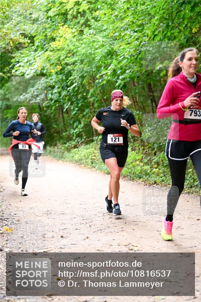 11.10.2026 - Bramfelder Halbmarathon 2026 Dr. Thomas Lammeyer http://msf.ph/oto/10816537 11.10.2026 09:53:30 Laufen 83, 121, 793 meine-sportfotos.de