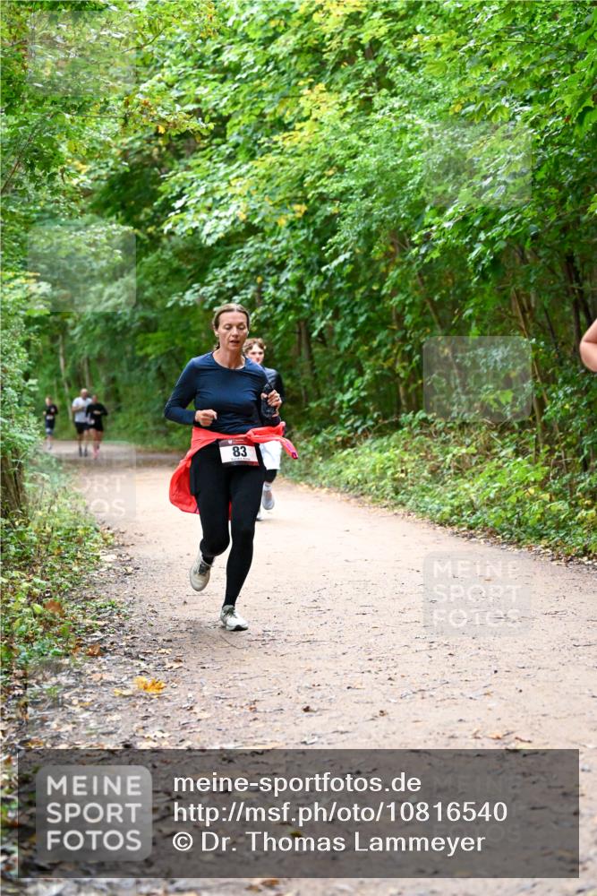 11.10.2026 - Bramfelder Halbmarathon 2026 Dr. Thomas Lammeyer http://msf.ph/oto/10816540 11.10.2026 09:53:31 Laufen 83 meine-sportfotos.de