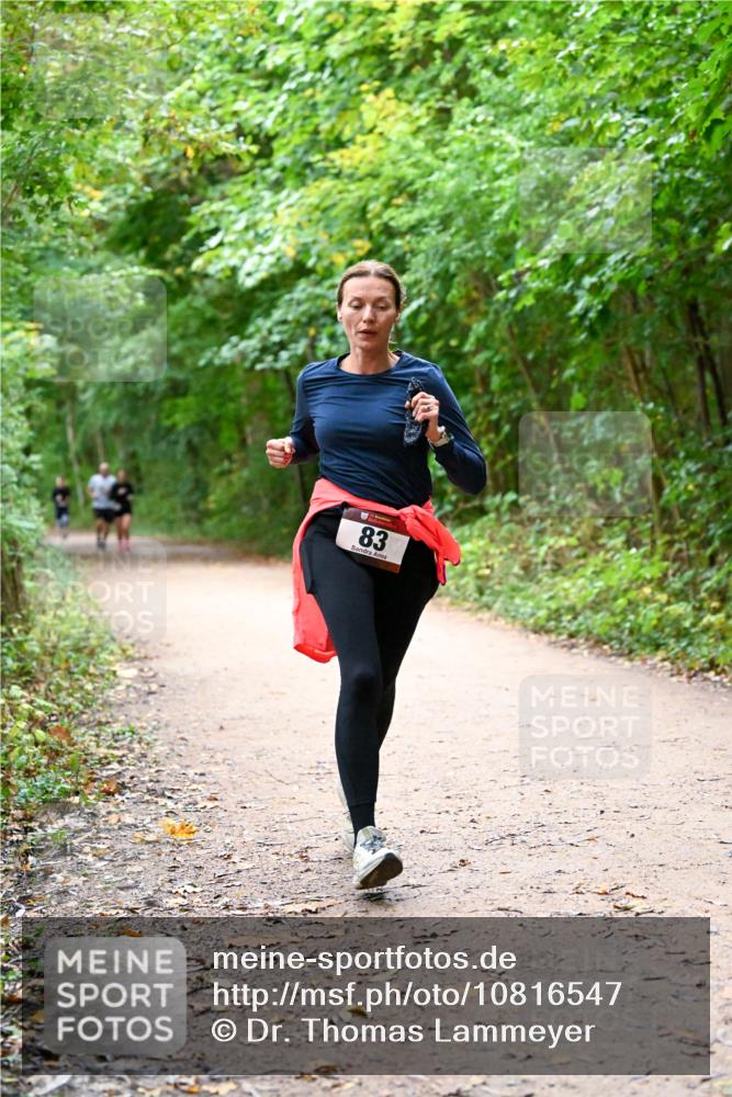 11.10.2026 - Bramfelder Halbmarathon 2026 Dr. Thomas Lammeyer http://msf.ph/oto/10816547 11.10.2026 09:53:32 Laufen 83 meine-sportfotos.de
