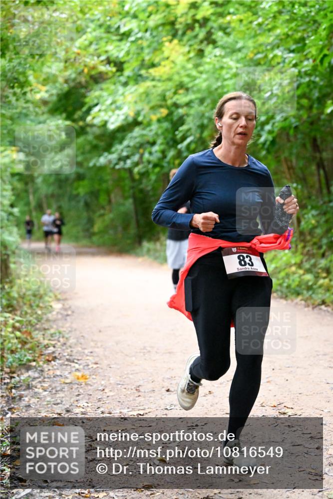 11.10.2026 - Bramfelder Halbmarathon 2026 Dr. Thomas Lammeyer http://msf.ph/oto/10816549 11.10.2026 09:53:32 Laufen 35, 83 meine-sportfotos.de