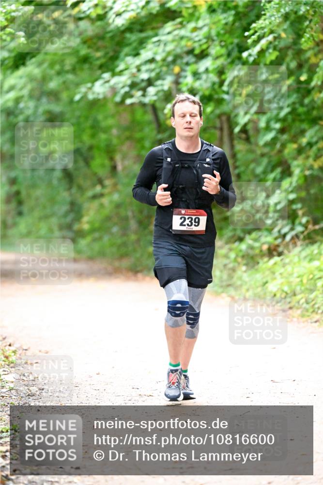 11.10.2026 - Bramfelder Halbmarathon 2026 Dr. Thomas Lammeyer http://msf.ph/oto/10816600 11.10.2026 09:53:47 Laufen 239 meine-sportfotos.de
