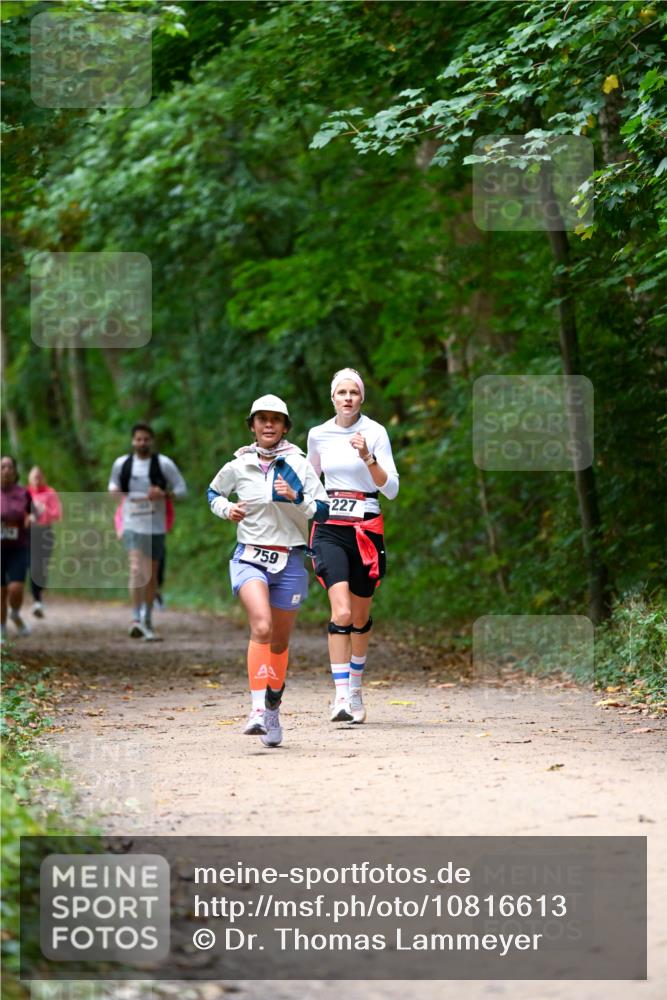 11.10.2026 - Bramfelder Halbmarathon 2026 Dr. Thomas Lammeyer http://msf.ph/oto/10816613 11.10.2026 09:53:55 Laufen 759, 227 meine-sportfotos.de