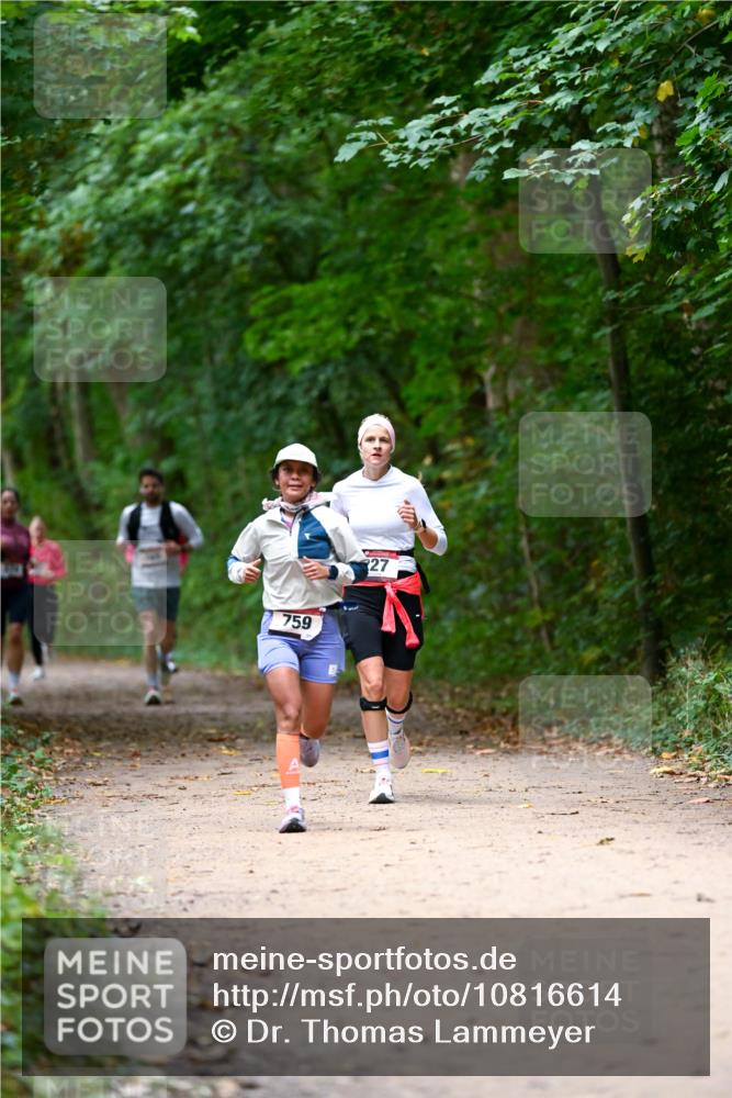 11.10.2026 - Bramfelder Halbmarathon 2026 Dr. Thomas Lammeyer http://msf.ph/oto/10816614 11.10.2026 09:53:55 Laufen 759, 27 meine-sportfotos.de