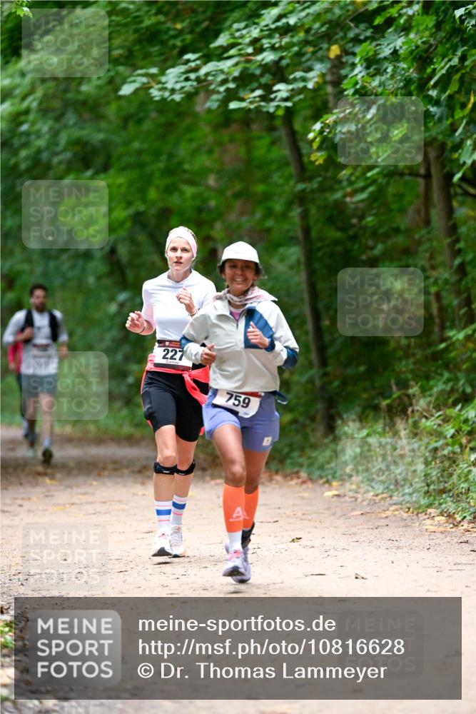 11.10.2026 - Bramfelder Halbmarathon 2026 Dr. Thomas Lammeyer http://msf.ph/oto/10816628 11.10.2026 09:53:57 Laufen 227, 759 meine-sportfotos.de