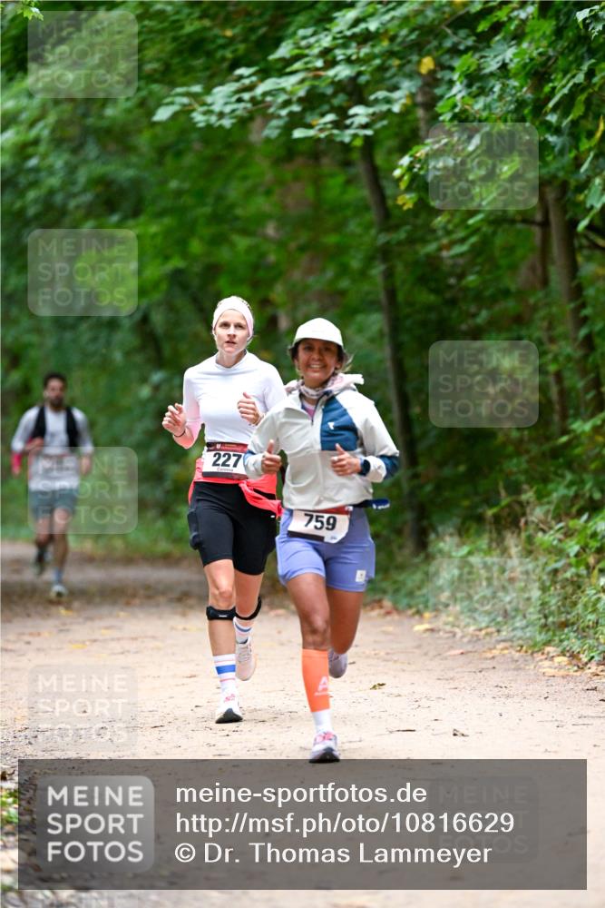 11.10.2026 - Bramfelder Halbmarathon 2026 Dr. Thomas Lammeyer http://msf.ph/oto/10816629 11.10.2026 09:53:57 Laufen 227, 759 meine-sportfotos.de