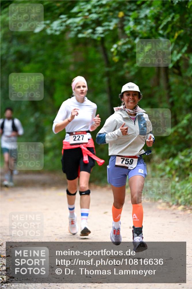 11.10.2026 - Bramfelder Halbmarathon 2026 Dr. Thomas Lammeyer http://msf.ph/oto/10816636 11.10.2026 09:53:58 Laufen 227, 759, 244 meine-sportfotos.de