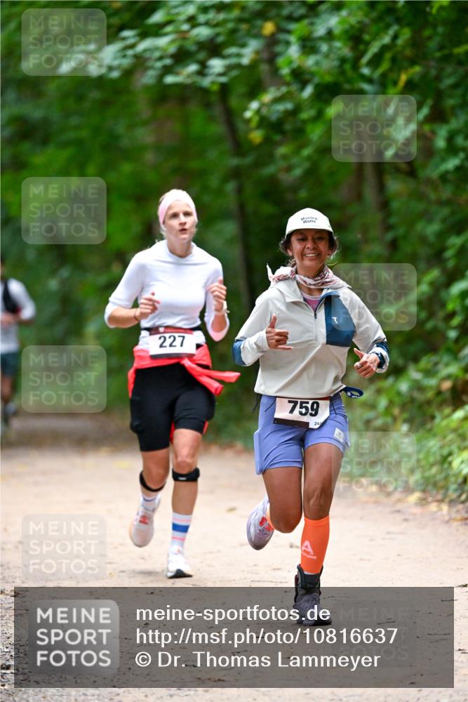 11.10.2026 - Bramfelder Halbmarathon 2026 Dr. Thomas Lammeyer http://msf.ph/oto/10816637 11.10.2026 09:53:58 Laufen 227, 759 meine-sportfotos.de