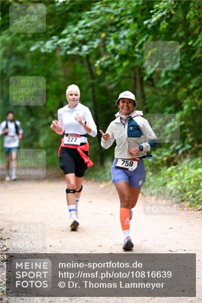 11.10.2026 - Bramfelder Halbmarathon 2026 Dr. Thomas Lammeyer http://msf.ph/oto/10816639 11.10.2026 09:53:58 Laufen 227, 759, 244 meine-sportfotos.de