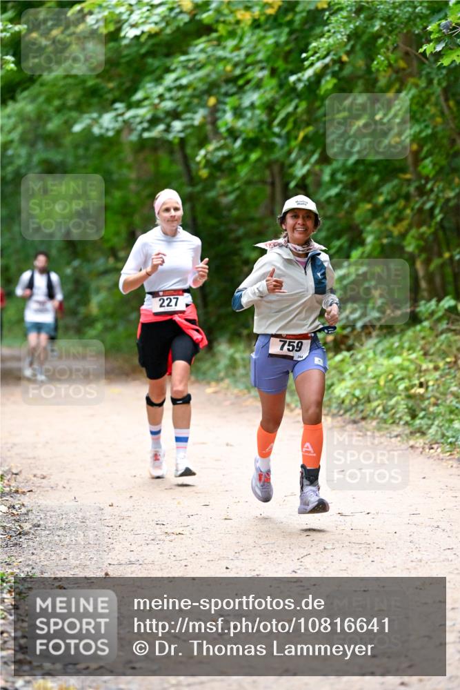 11.10.2026 - Bramfelder Halbmarathon 2026 Dr. Thomas Lammeyer http://msf.ph/oto/10816641 11.10.2026 09:53:58 Laufen 227, 759, 244 meine-sportfotos.de