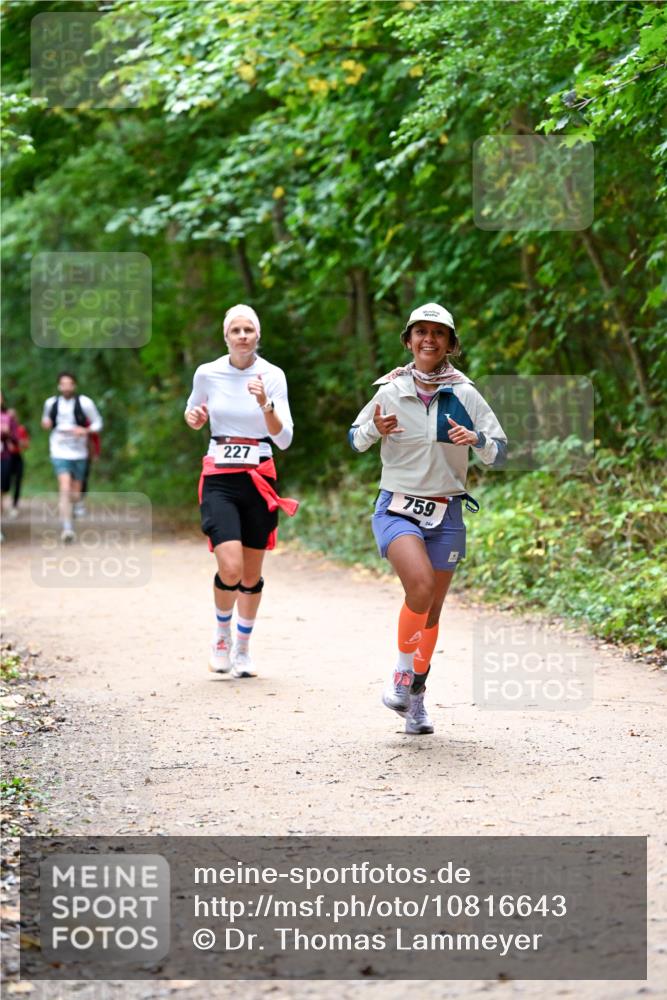 11.10.2026 - Bramfelder Halbmarathon 2026 Dr. Thomas Lammeyer http://msf.ph/oto/10816643 11.10.2026 09:53:59 Laufen 227, 759, 244 meine-sportfotos.de
