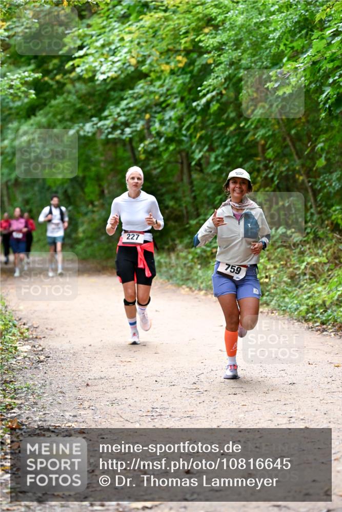 11.10.2026 - Bramfelder Halbmarathon 2026 Dr. Thomas Lammeyer http://msf.ph/oto/10816645 11.10.2026 09:53:59 Laufen 227, 759, 244 meine-sportfotos.de