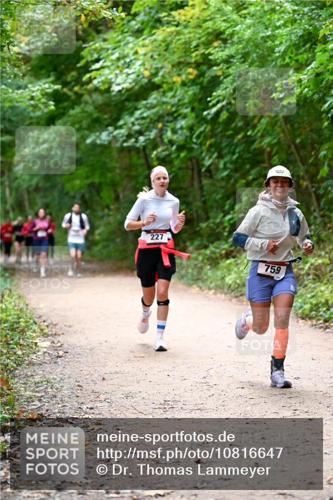 11.10.2026 - Bramfelder Halbmarathon 2026 Dr. Thomas Lammeyer http://msf.ph/oto/10816647 11.10.2026 09:53:59 Laufen 227, 759 meine-sportfotos.de