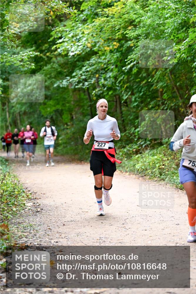 11.10.2026 - Bramfelder Halbmarathon 2026 Dr. Thomas Lammeyer http://msf.ph/oto/10816648 11.10.2026 09:54:00 Laufen 227, 75 meine-sportfotos.de