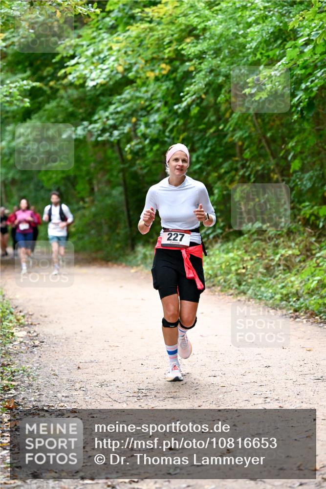 11.10.2026 - Bramfelder Halbmarathon 2026 Dr. Thomas Lammeyer http://msf.ph/oto/10816653 11.10.2026 09:54:00 Laufen 227 meine-sportfotos.de