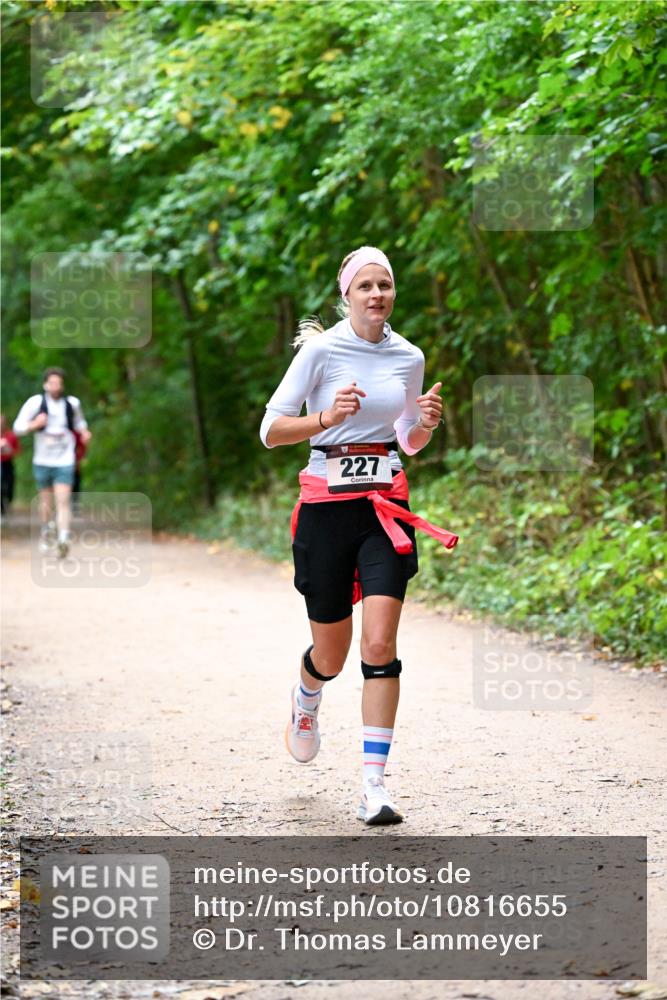 11.10.2026 - Bramfelder Halbmarathon 2026 Dr. Thomas Lammeyer http://msf.ph/oto/10816655 11.10.2026 09:54:01 Laufen 227 meine-sportfotos.de