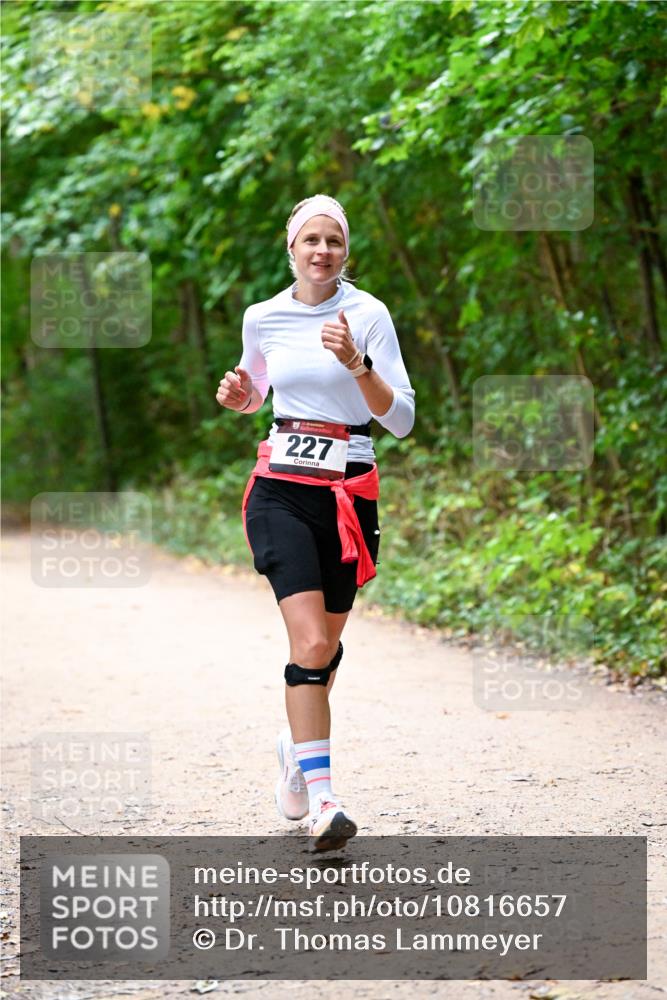 11.10.2026 - Bramfelder Halbmarathon 2026 Dr. Thomas Lammeyer http://msf.ph/oto/10816657 11.10.2026 09:54:01 Laufen 227 meine-sportfotos.de