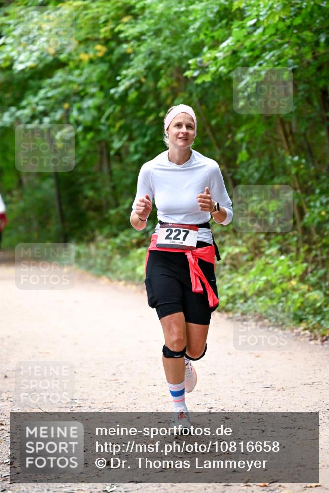 11.10.2026 - Bramfelder Halbmarathon 2026 Dr. Thomas Lammeyer http://msf.ph/oto/10816658 11.10.2026 09:54:01 Laufen 227 meine-sportfotos.de