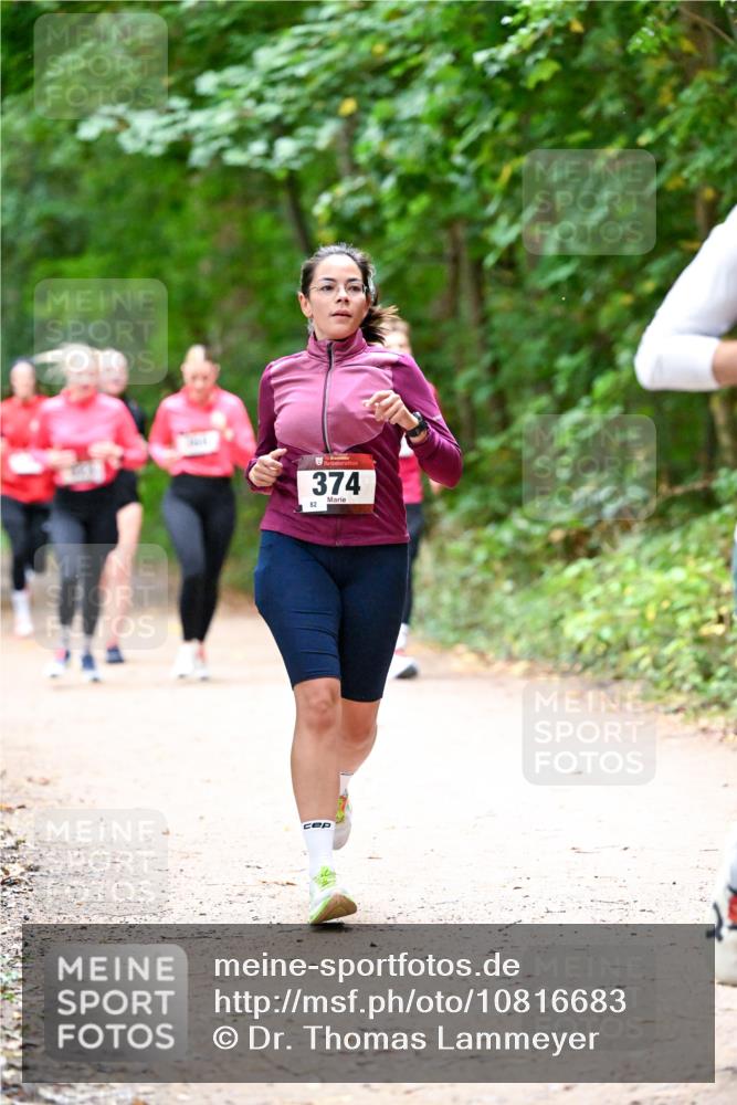 11.10.2026 - Bramfelder Halbmarathon 2026 Dr. Thomas Lammeyer http://msf.ph/oto/10816683 11.10.2026 09:54:07 Laufen 374, 82 meine-sportfotos.de