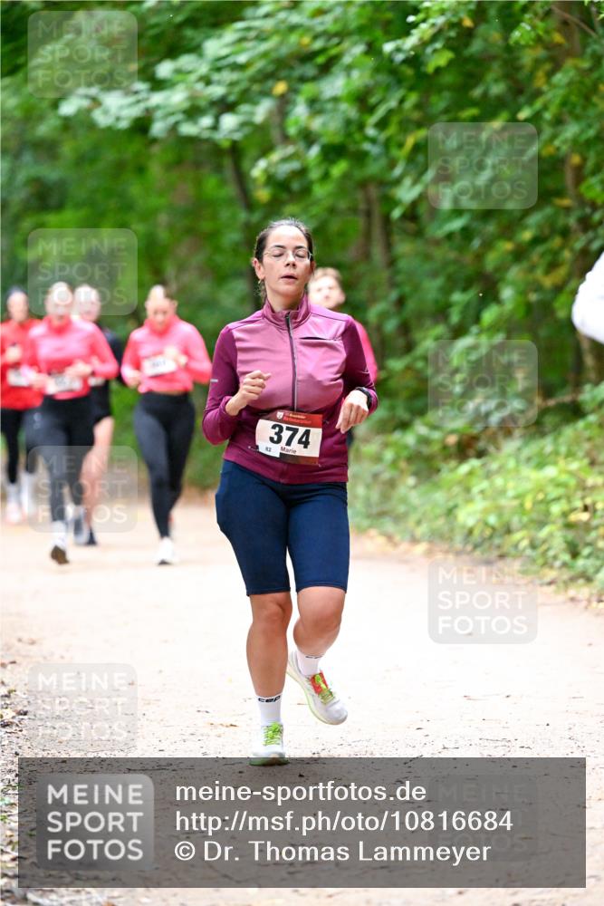 11.10.2026 - Bramfelder Halbmarathon 2026 Dr. Thomas Lammeyer http://msf.ph/oto/10816684 11.10.2026 09:54:07 Laufen 374, 82 meine-sportfotos.de