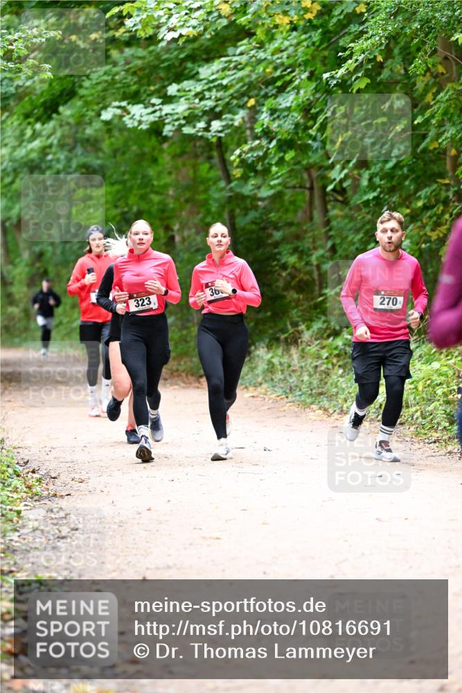 11.10.2026 - Bramfelder Halbmarathon 2026 Dr. Thomas Lammeyer http://msf.ph/oto/10816691 11.10.2026 09:54:08 Laufen 323, 36, 270 meine-sportfotos.de