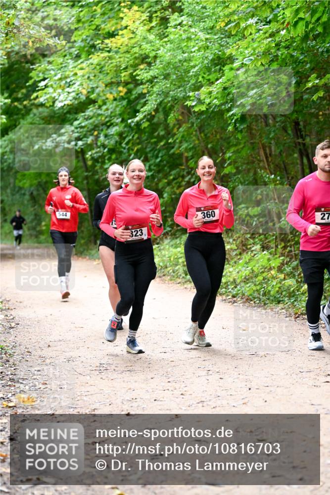 11.10.2026 - Bramfelder Halbmarathon 2026 Dr. Thomas Lammeyer http://msf.ph/oto/10816703 11.10.2026 09:54:11 Laufen 544, 360, 323, 27 meine-sportfotos.de