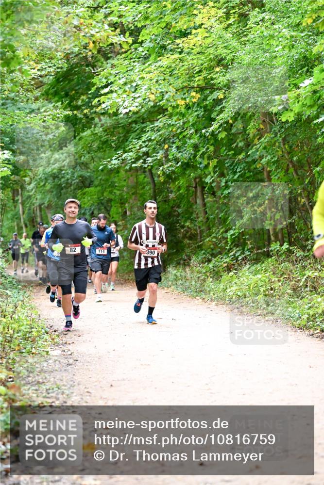 11.10.2026 - Bramfelder Halbmarathon 2026 Dr. Thomas Lammeyer http://msf.ph/oto/10816759 11.10.2026 09:54:25 Laufen 82, 114, 390 meine-sportfotos.de