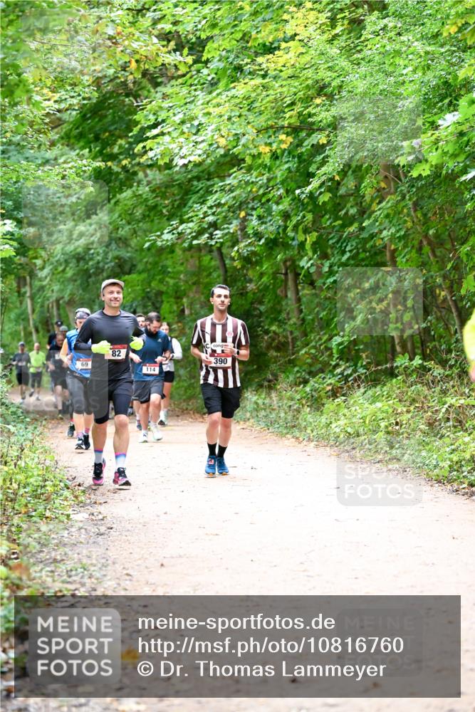 11.10.2026 - Bramfelder Halbmarathon 2026 Dr. Thomas Lammeyer http://msf.ph/oto/10816760 11.10.2026 09:54:25 Laufen 69, 82, 114, 390 meine-sportfotos.de