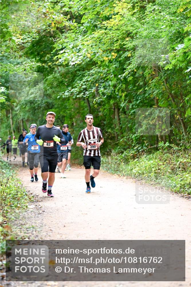 11.10.2026 - Bramfelder Halbmarathon 2026 Dr. Thomas Lammeyer http://msf.ph/oto/10816762 11.10.2026 09:54:25 Laufen 69, 82, 114, 390 meine-sportfotos.de