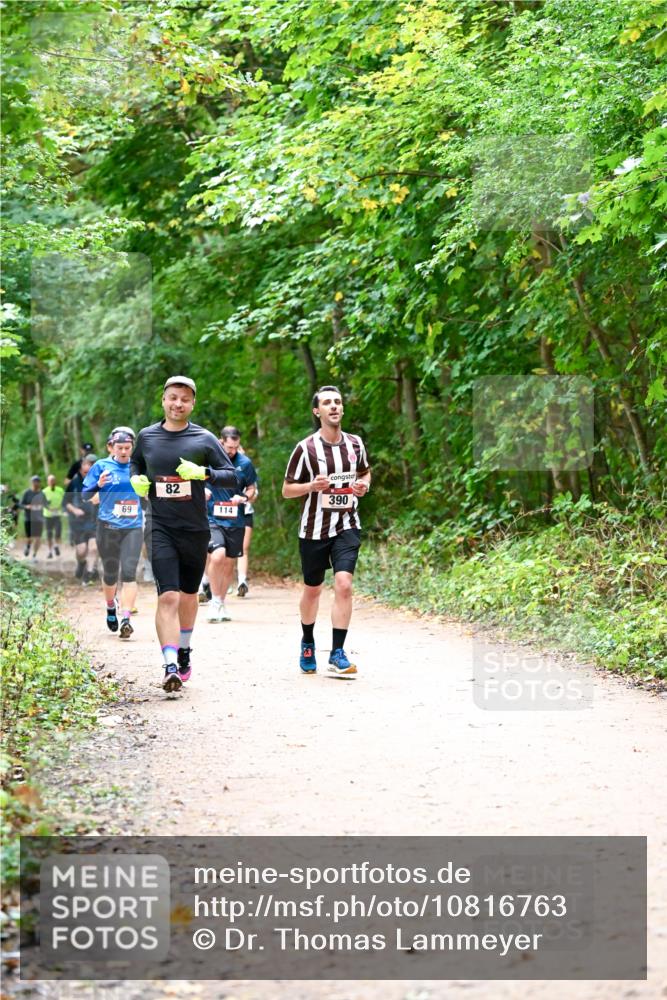 11.10.2026 - Bramfelder Halbmarathon 2026 Dr. Thomas Lammeyer http://msf.ph/oto/10816763 11.10.2026 09:54:25 Laufen 69, 82, 114, 390 meine-sportfotos.de