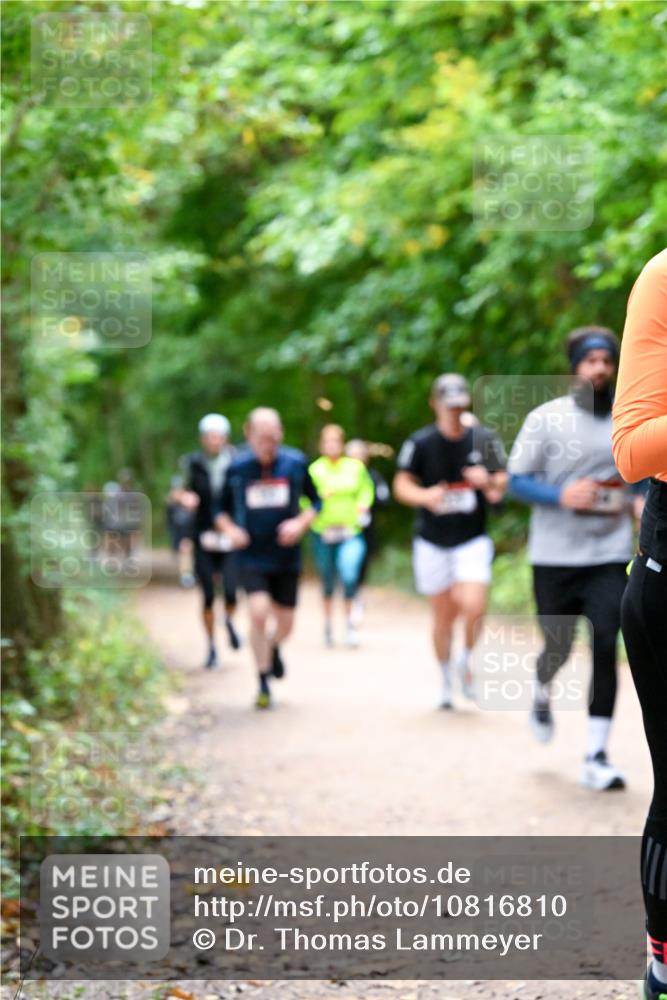 11.10.2026 - Bramfelder Halbmarathon 2026 Dr. Thomas Lammeyer http://msf.ph/oto/10816810 11.10.2026 09:54:33 Laufen  meine-sportfotos.de