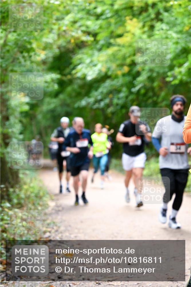 11.10.2026 - Bramfelder Halbmarathon 2026 Dr. Thomas Lammeyer http://msf.ph/oto/10816811 11.10.2026 09:54:33 Laufen  meine-sportfotos.de