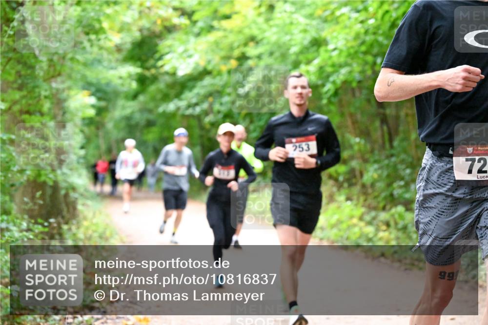 11.10.2026 - Bramfelder Halbmarathon 2026 Dr. Thomas Lammeyer http://msf.ph/oto/10816837 11.10.2026 09:54:39 Laufen 253, 35, 72, 99 meine-sportfotos.de