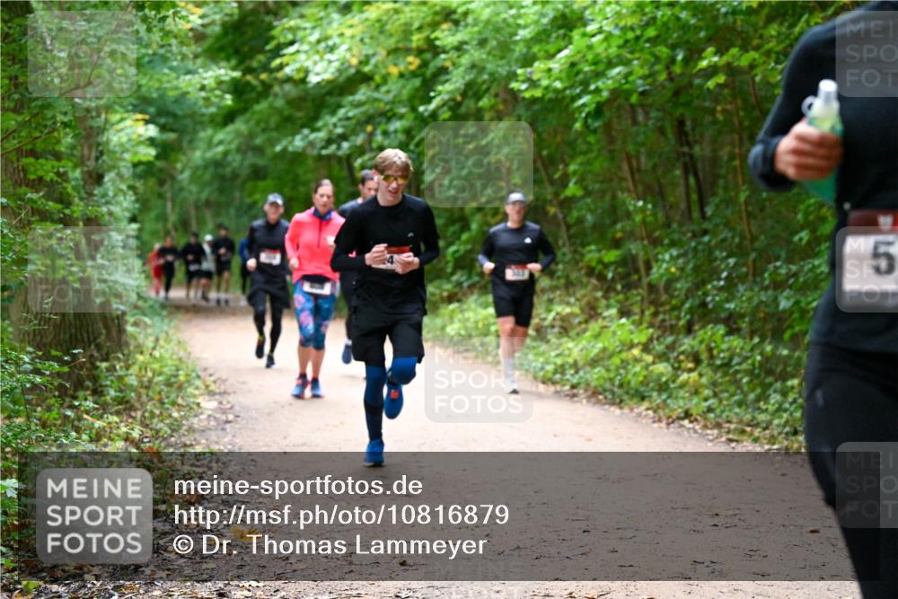 11.10.2026 - Bramfelder Halbmarathon 2026 Dr. Thomas Lammeyer http://msf.ph/oto/10816879 11.10.2026 09:54:50 Laufen 5 meine-sportfotos.de