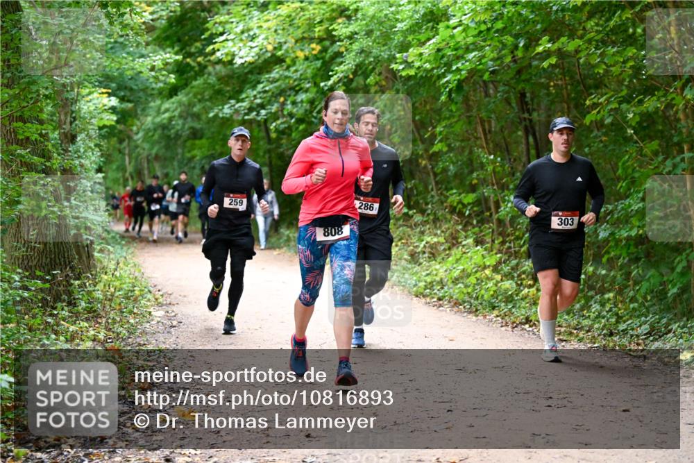 11.10.2026 - Bramfelder Halbmarathon 2026 Dr. Thomas Lammeyer http://msf.ph/oto/10816893 11.10.2026 09:54:52 Laufen 259, 808, 286, 303 meine-sportfotos.de