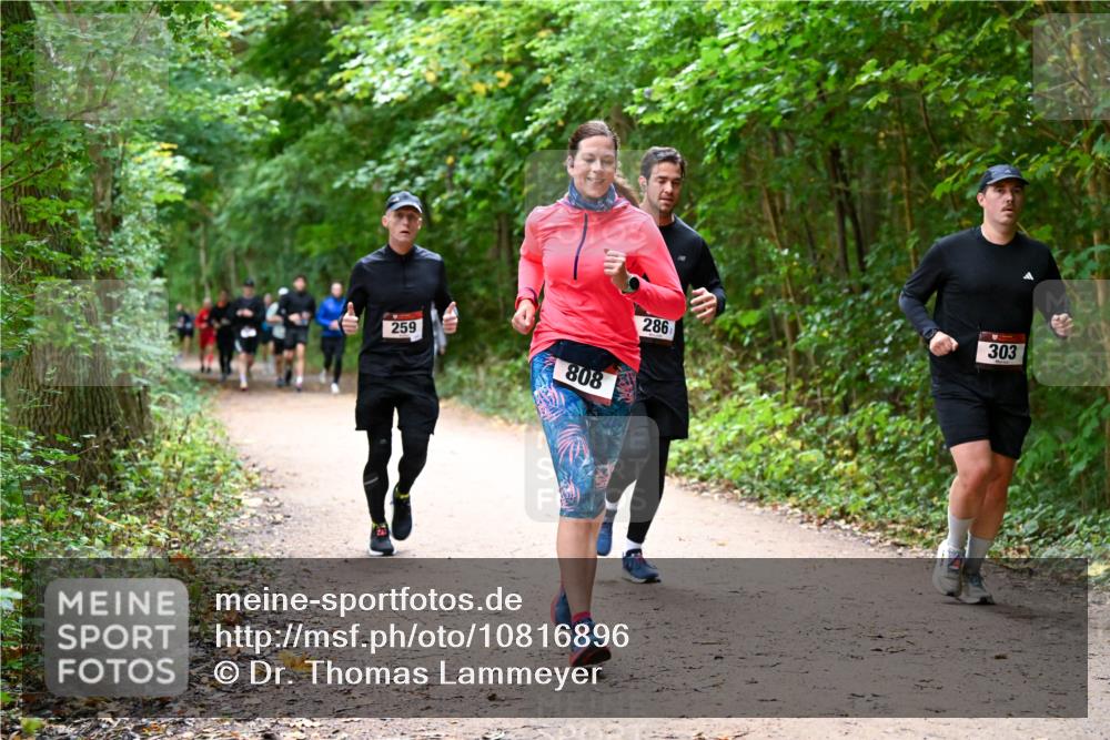 11.10.2026 - Bramfelder Halbmarathon 2026 Dr. Thomas Lammeyer http://msf.ph/oto/10816896 11.10.2026 09:54:53 Laufen 259, 808, 286, 303 meine-sportfotos.de