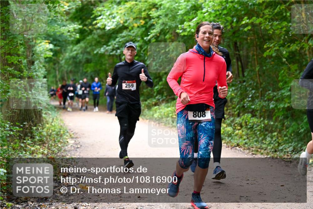 11.10.2026 - Bramfelder Halbmarathon 2026 Dr. Thomas Lammeyer http://msf.ph/oto/10816900 11.10.2026 09:54:53 Laufen 259, 808 meine-sportfotos.de