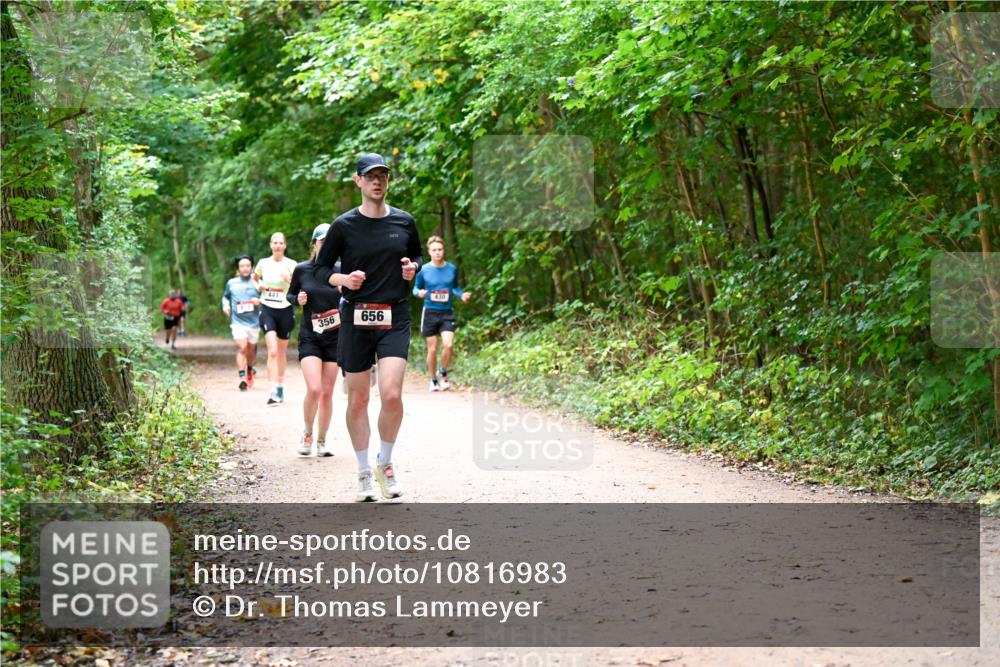 11.10.2026 - Bramfelder Halbmarathon 2026 Dr. Thomas Lammeyer http://msf.ph/oto/10816983 11.10.2026 09:55:15 Laufen 441, 356, 656, 430 meine-sportfotos.de