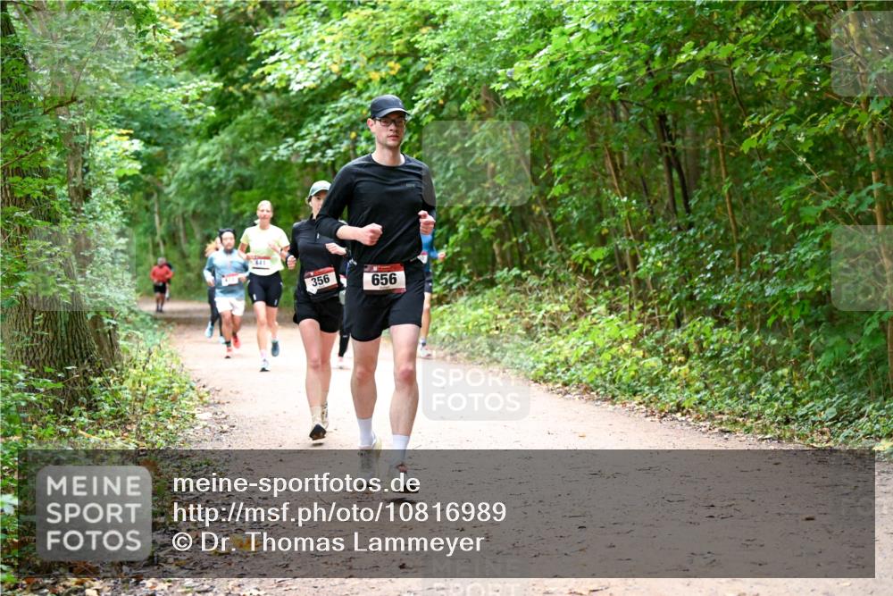 11.10.2026 - Bramfelder Halbmarathon 2026 Dr. Thomas Lammeyer http://msf.ph/oto/10816989 11.10.2026 09:55:15 Laufen 441, 356, 656 meine-sportfotos.de