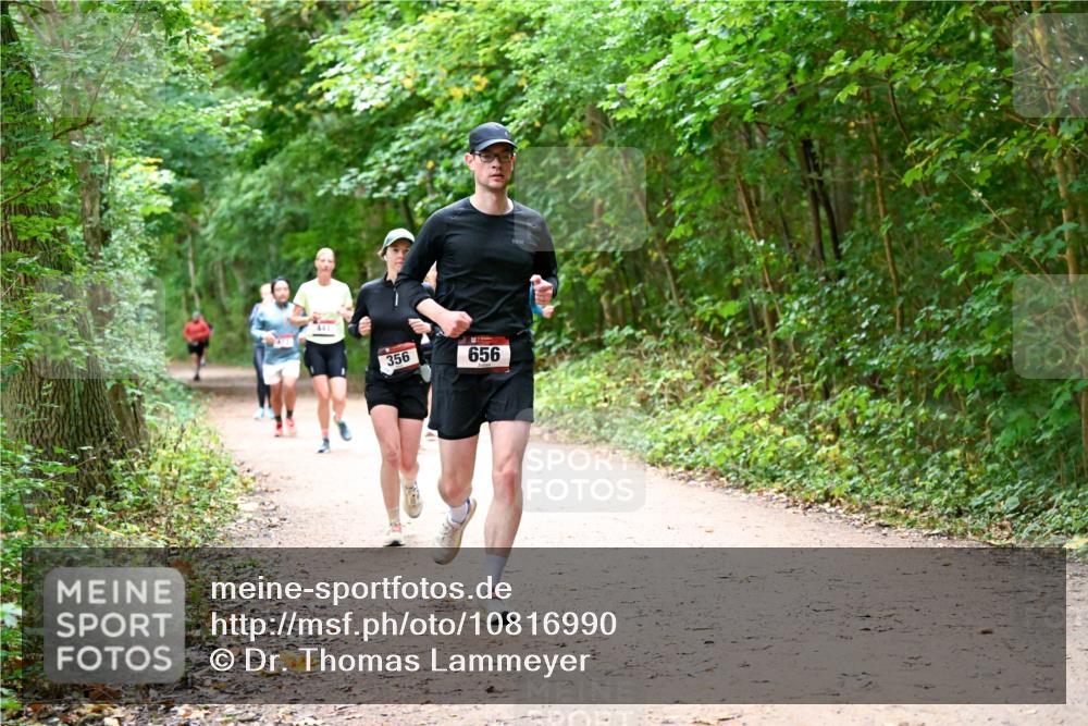 11.10.2026 - Bramfelder Halbmarathon 2026 Dr. Thomas Lammeyer http://msf.ph/oto/10816990 11.10.2026 09:55:15 Laufen 356, 656 meine-sportfotos.de