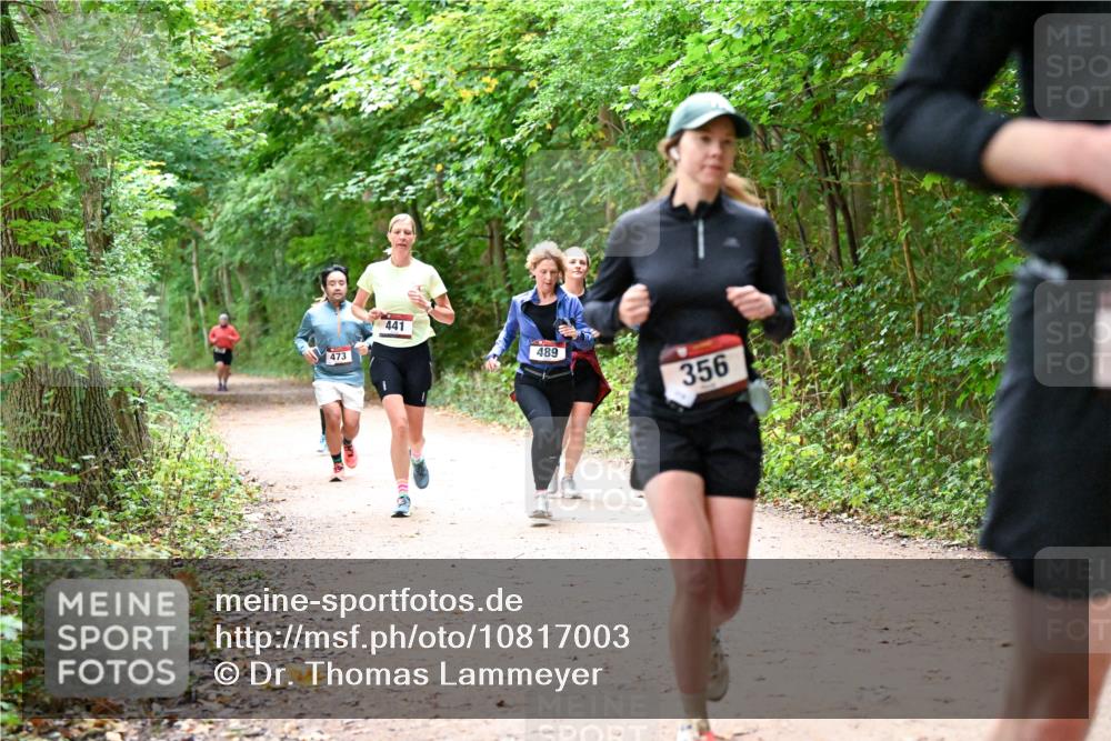 11.10.2026 - Bramfelder Halbmarathon 2026 Dr. Thomas Lammeyer http://msf.ph/oto/10817003 11.10.2026 09:55:18 Laufen 473, 441, 489, 356 meine-sportfotos.de