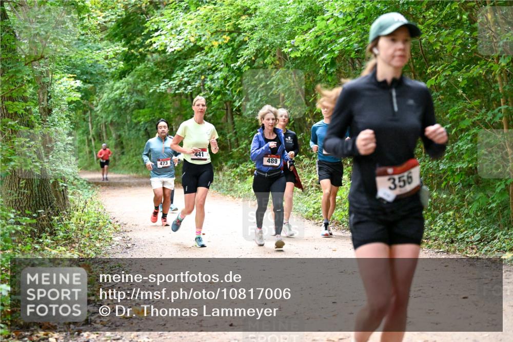 11.10.2026 - Bramfelder Halbmarathon 2026 Dr. Thomas Lammeyer http://msf.ph/oto/10817006 11.10.2026 09:55:18 Laufen 473, 441, 489, 356 meine-sportfotos.de
