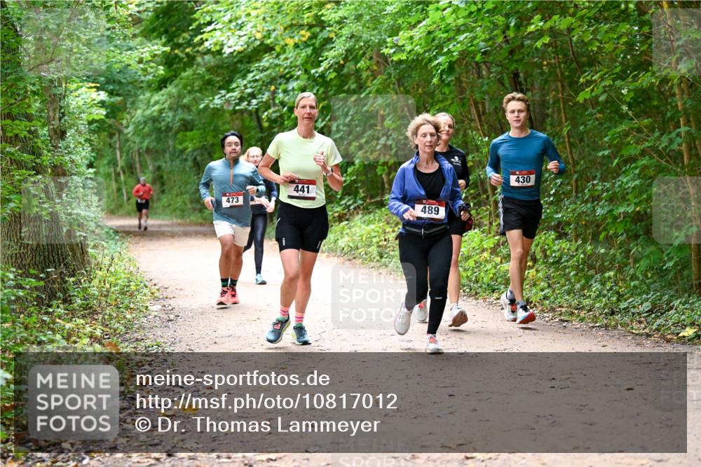 11.10.2026 - Bramfelder Halbmarathon 2026 Dr. Thomas Lammeyer http://msf.ph/oto/10817012 11.10.2026 09:55:19 Laufen 473, 441, 489, 430 meine-sportfotos.de