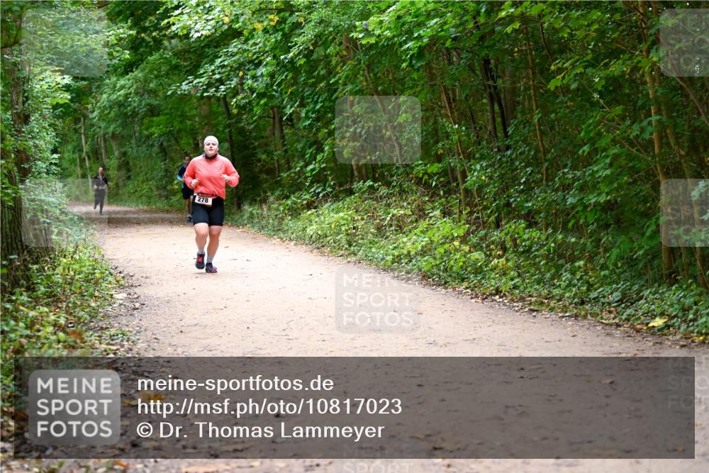 11.10.2026 - Bramfelder Halbmarathon 2026 Dr. Thomas Lammeyer http://msf.ph/oto/10817023 11.10.2026 09:55:28 Laufen 278 meine-sportfotos.de