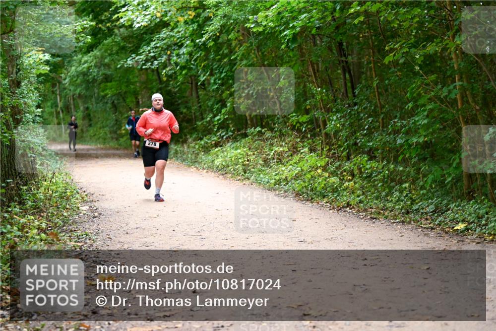 11.10.2026 - Bramfelder Halbmarathon 2026 Dr. Thomas Lammeyer http://msf.ph/oto/10817024 11.10.2026 09:55:29 Laufen 278 meine-sportfotos.de