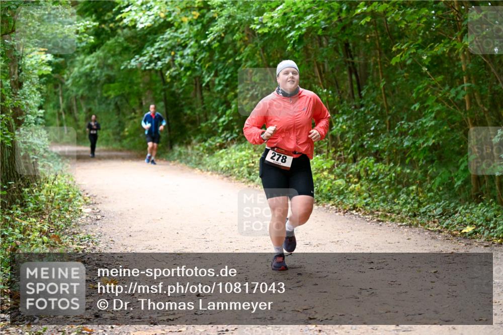 11.10.2026 - Bramfelder Halbmarathon 2026 Dr. Thomas Lammeyer http://msf.ph/oto/10817043 11.10.2026 09:55:31 Laufen 278 meine-sportfotos.de