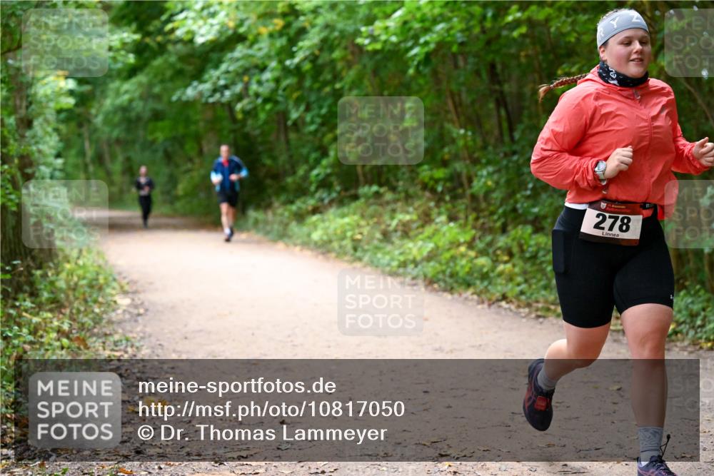 11.10.2026 - Bramfelder Halbmarathon 2026 Dr. Thomas Lammeyer http://msf.ph/oto/10817050 11.10.2026 09:55:32 Laufen 278 meine-sportfotos.de