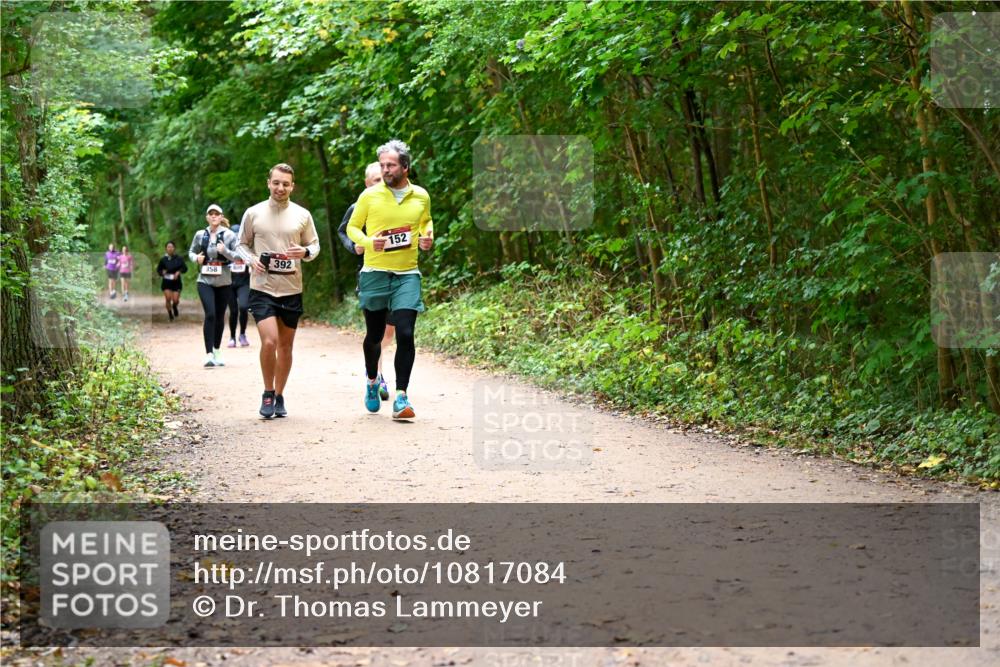11.10.2026 - Bramfelder Halbmarathon 2026 Dr. Thomas Lammeyer http://msf.ph/oto/10817084 11.10.2026 09:56:00 Laufen 392, 358, 805, 152 meine-sportfotos.de