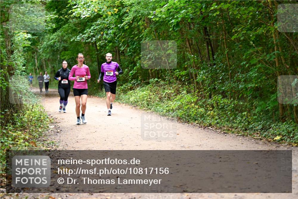 11.10.2026 - Bramfelder Halbmarathon 2026 Dr. Thomas Lammeyer http://msf.ph/oto/10817156 11.10.2026 09:56:16 Laufen 355, 44, 565 meine-sportfotos.de