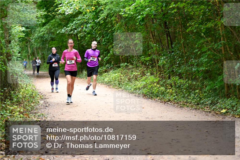 11.10.2026 - Bramfelder Halbmarathon 2026 Dr. Thomas Lammeyer http://msf.ph/oto/10817159 11.10.2026 09:56:17 Laufen 565, 44, 355 meine-sportfotos.de